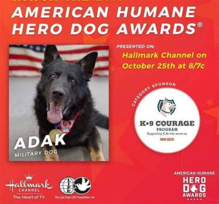 Adak hero dog