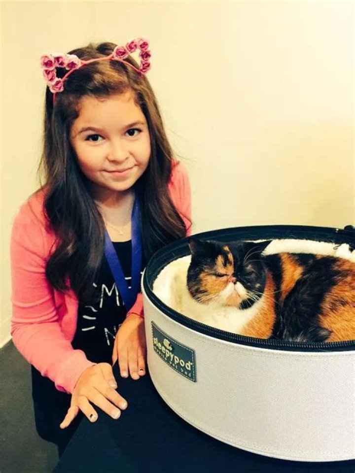 Addison Riecke Pets