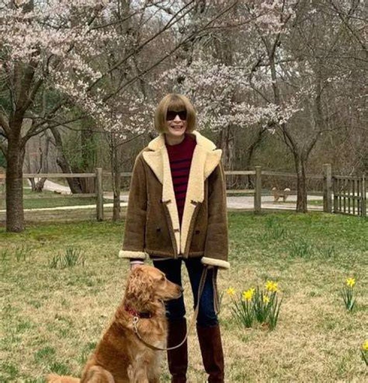 Anna Wintour Pets - Celebrity Pets