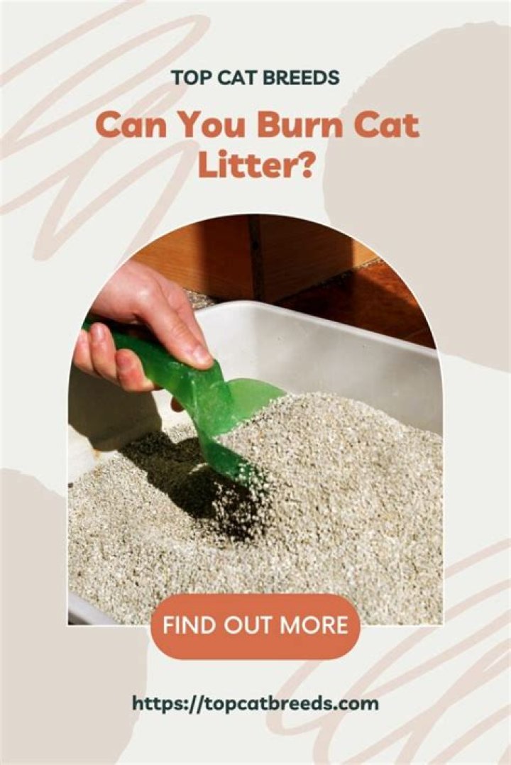 Can you burn cat litter?