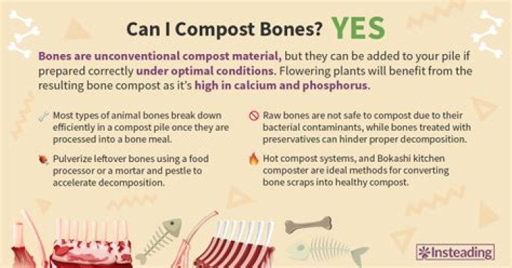 Can you put bones in compost bin?