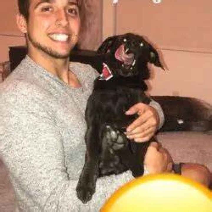 Corey Scherer Pets