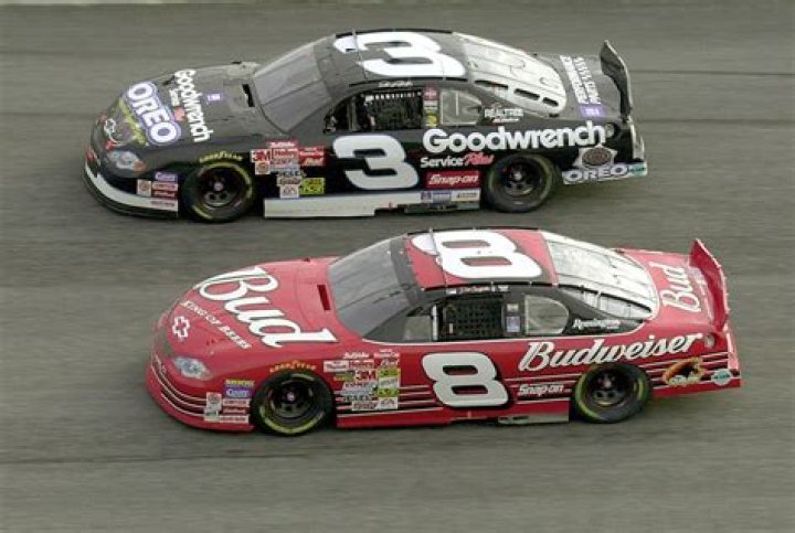 Dale Earnhardt Jr. is between Shawn Michaels and Cameron Kade Hickenbottom in the picture.