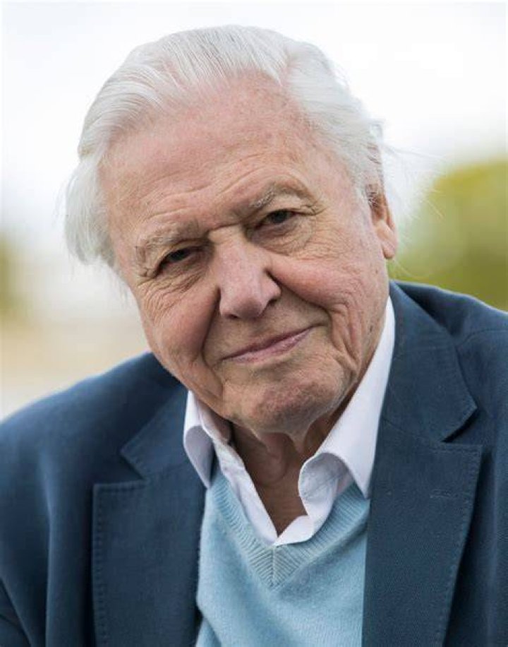 David Attenborough David Attenborough