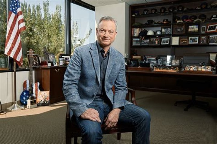 Gary Sinise Bio (Wiki) 