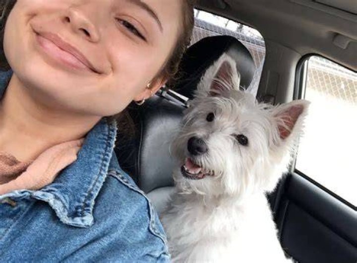 Hannah Kepple Pets