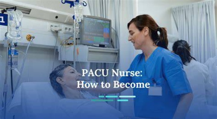 How do I become Pacu certified?
