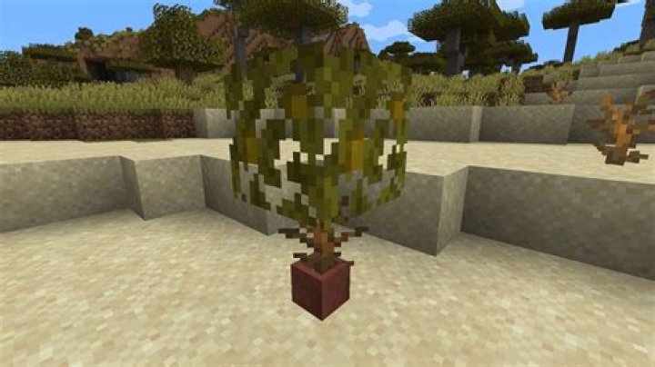 How do I get a dead bush?