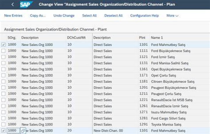 How do you assign a sales org to a plant in SAP?