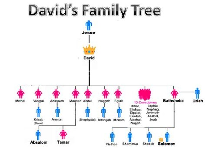 How many wives did King David have?