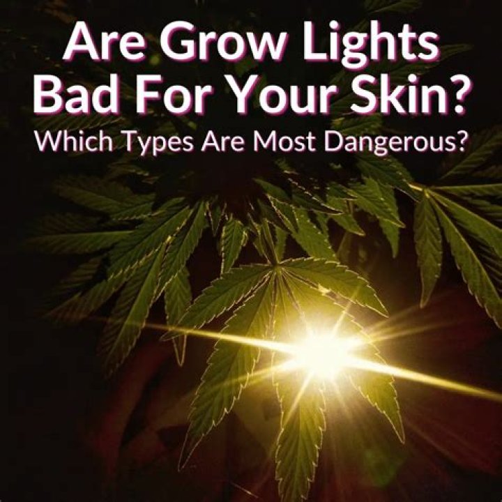 Is LED grow light dangerous?