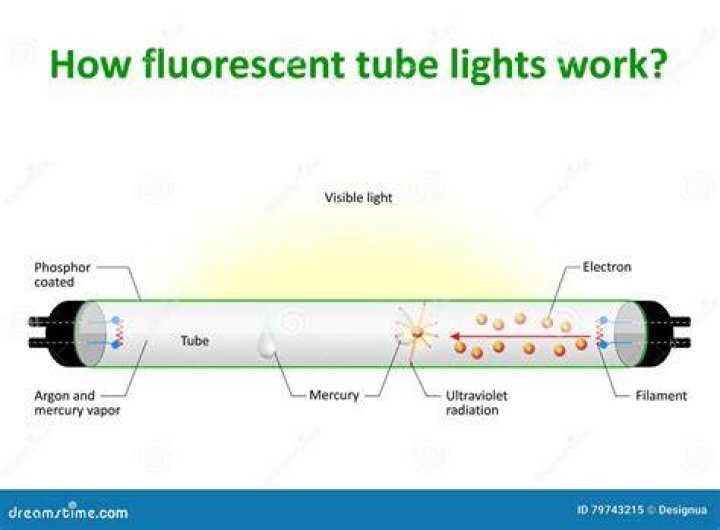 Is Neon used in fluorescent lights?