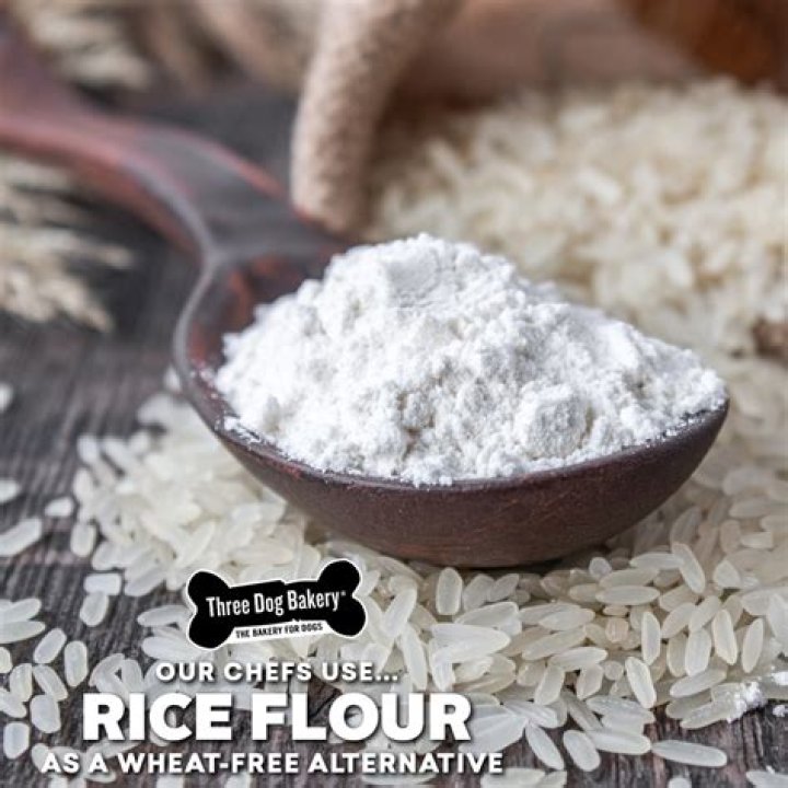 Is wheat flour OK for dogs?