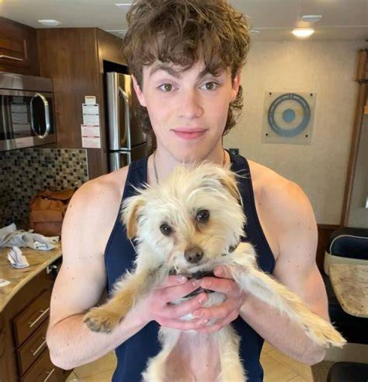 Jack Stauber Pets - Celebrity Pets