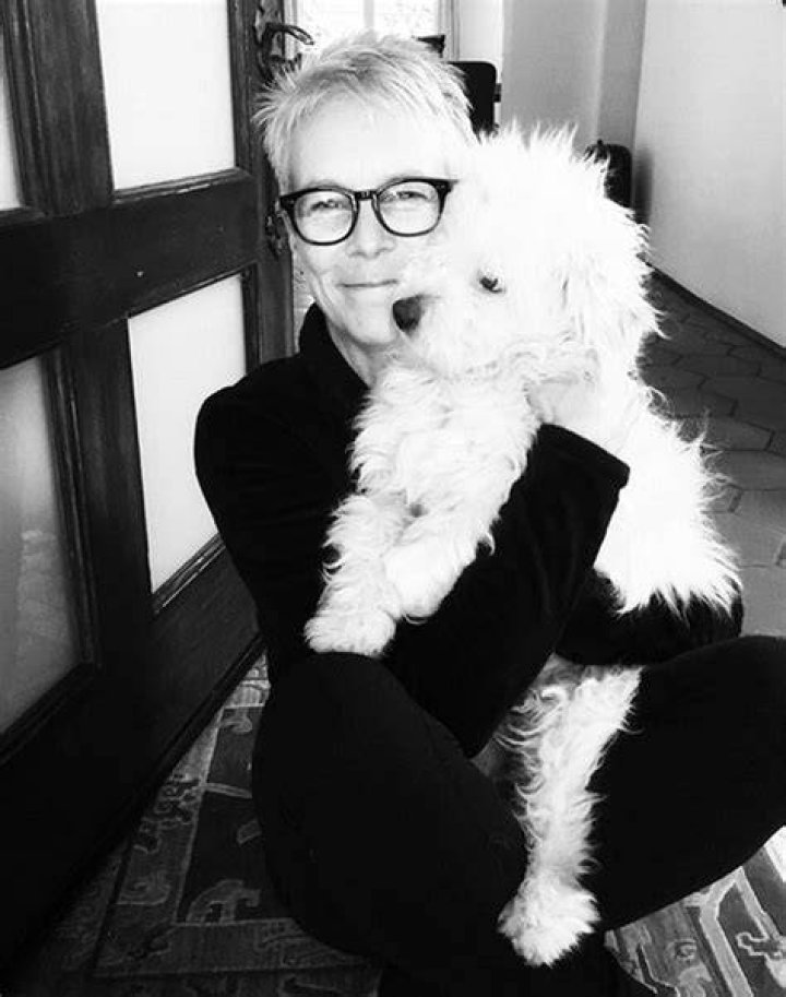 Jamie Lee Curtis rescue dog Runi