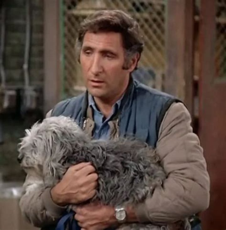 Judd Hirsch Pets