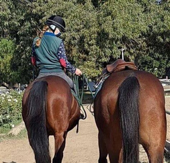 Kerry Condon has a ranch for rescued horses in Los Angeles