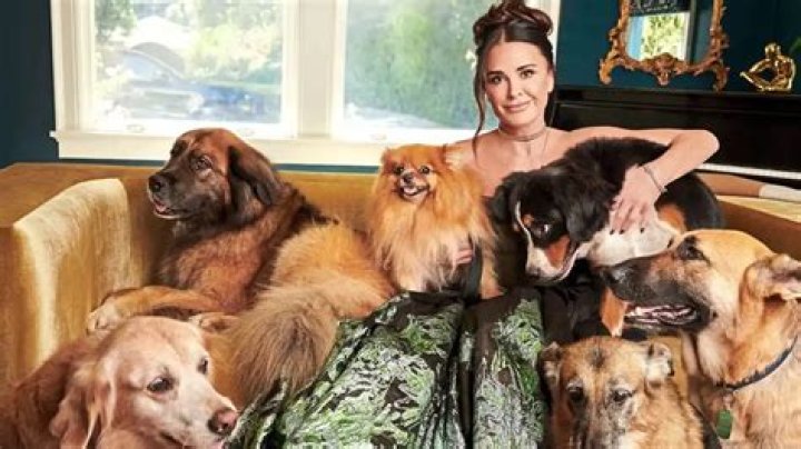 Kyle Richards Pets