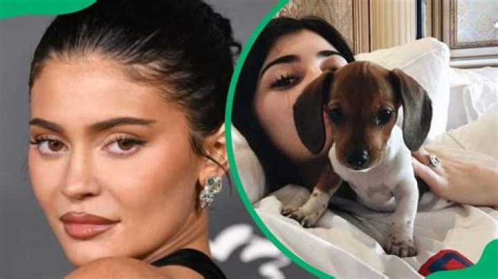 kylie jenner penny beagle