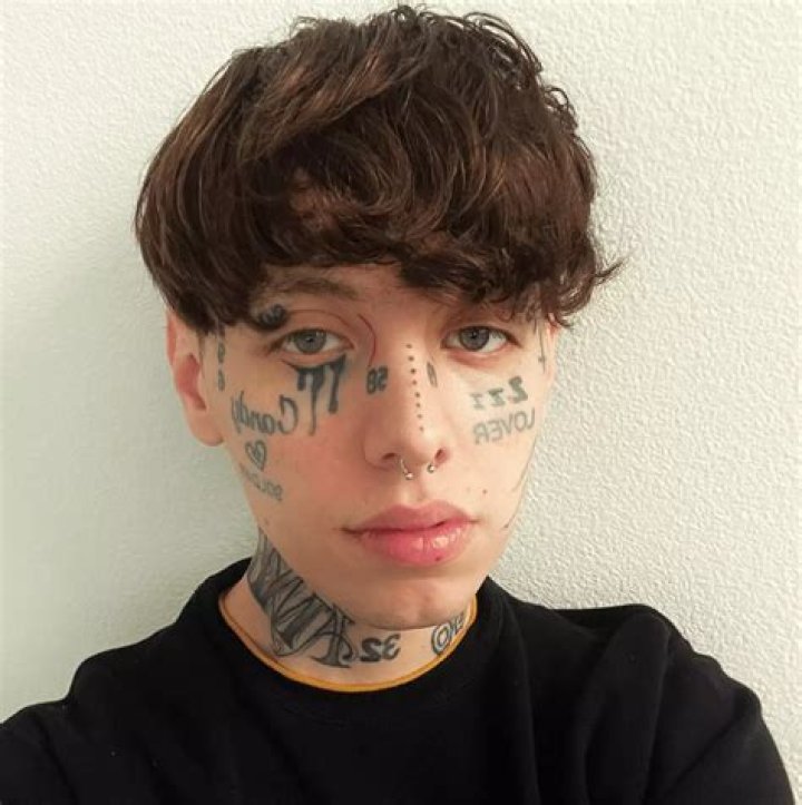Lil Xan Pets