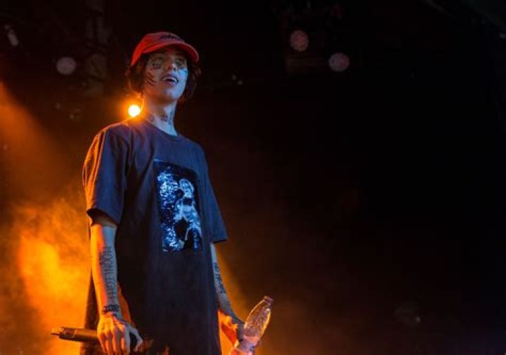 Lil Xan's pet No Pets (Lil Xan)