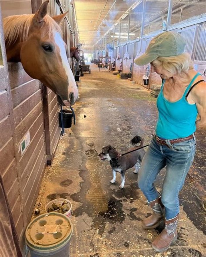 Lin Shaye Pets