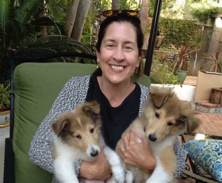 Mary Scheer Pets