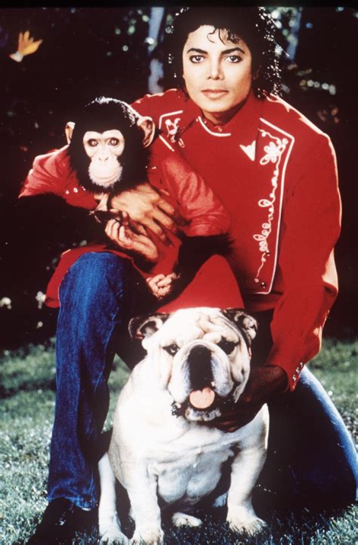 Michael Jackson pet elephant named Gypsy