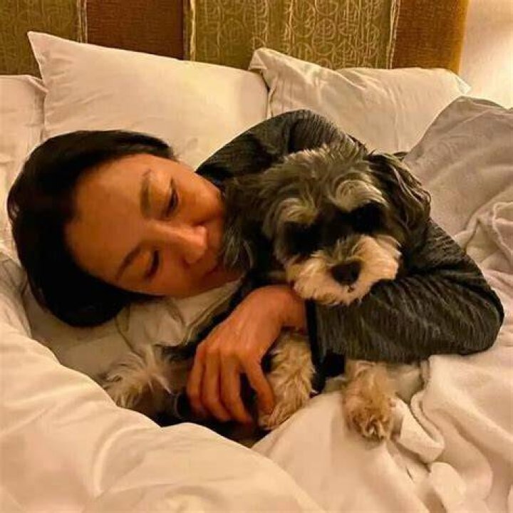 Michelle Yeoh Maltipoo Dog
