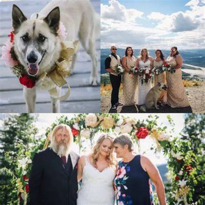 Monica Beets pet dog Doyle and her relatives and parents
