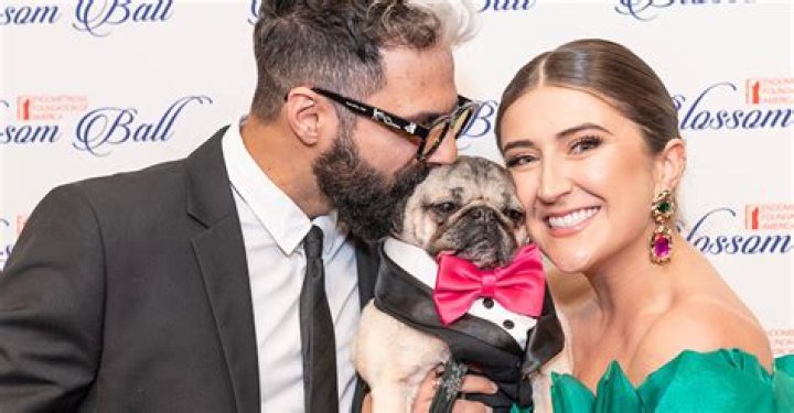 Mr. Faisu Pets - Celebrity Pets