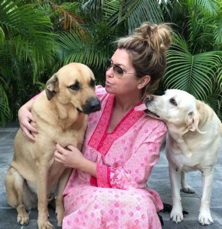 Shania Twain Pets
