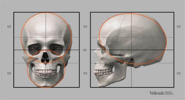 Skull's Eye Schooner