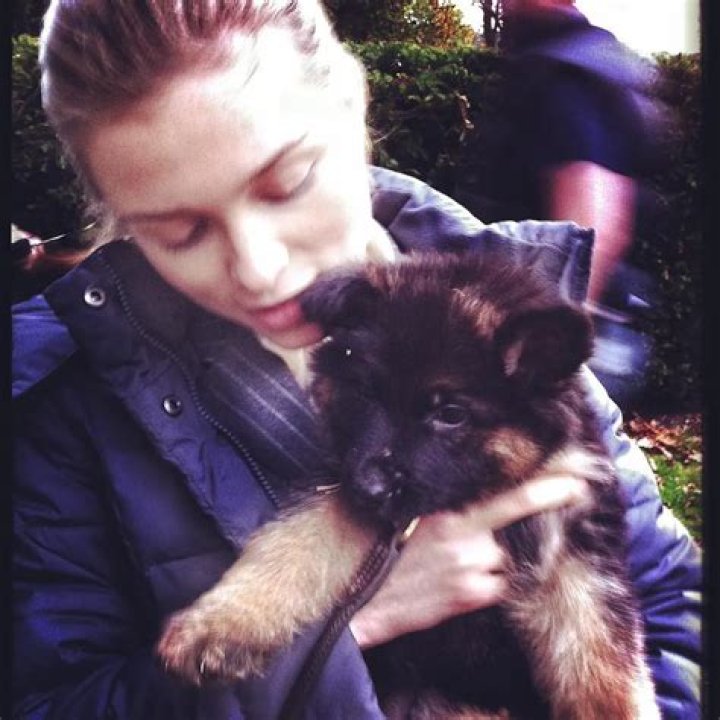 Sophie Cookson Pets