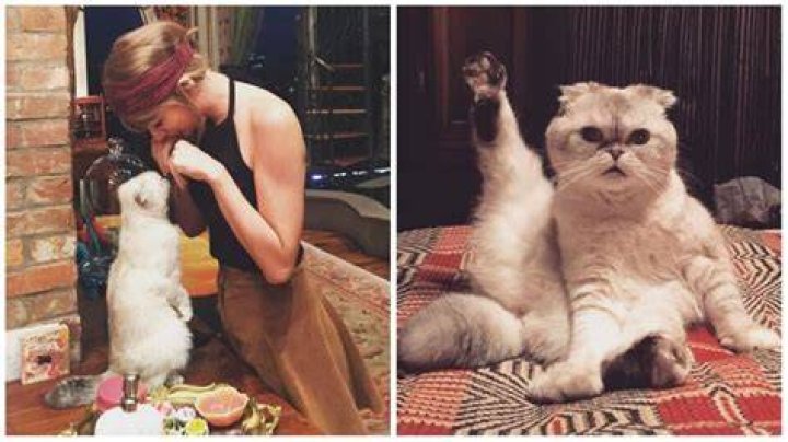 Taylor Swift Olivia Benson