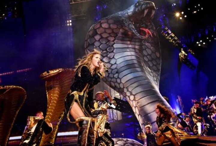 Taylor Swift reputation Stadium Tour - Sydney