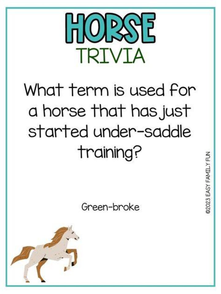 The Mule - Cast, Ages, Trivia