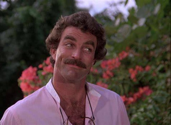 Tom Selleck's pet Cavalier King Charles Spaniels