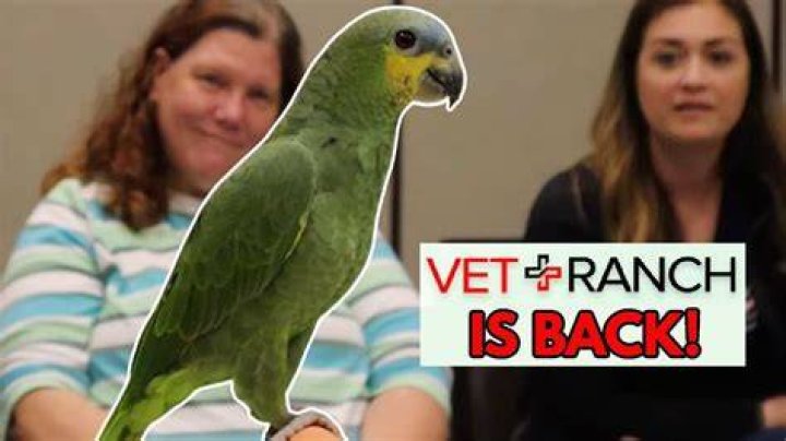vet_ranch