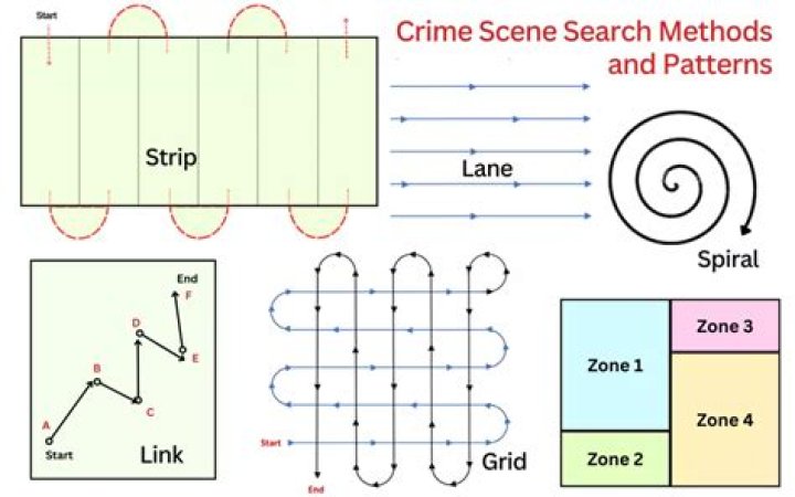 What are 4 types of search patterns?