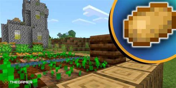 What are Potatoes in Minecraft?