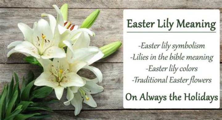 What do lilies represent at Easter?