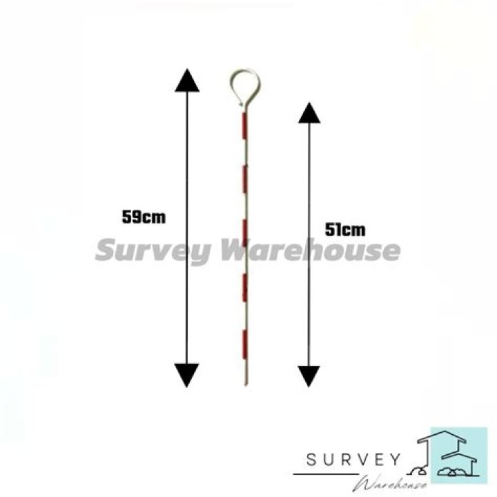 What do survey pins look like?