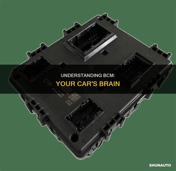 What does a BCM control?