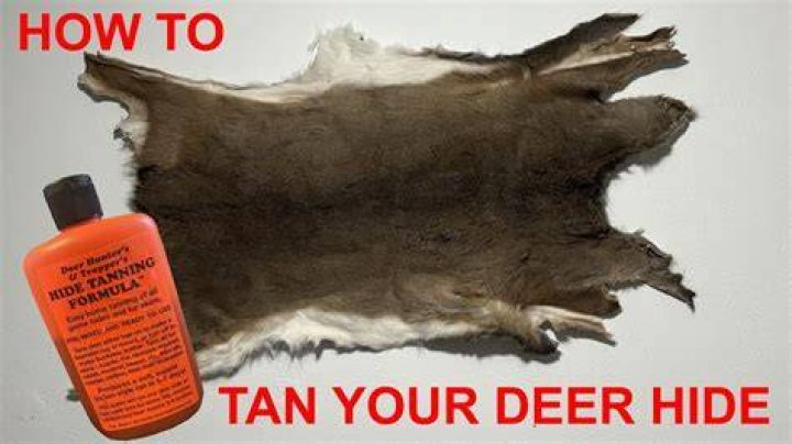What does it cost to tan a deer hide?