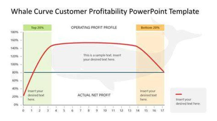 What information does the whale curve provide?