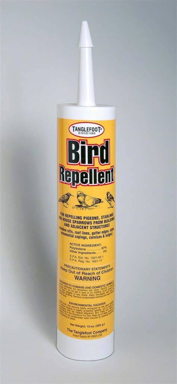 What is Tanglefoot Bird Repellent?