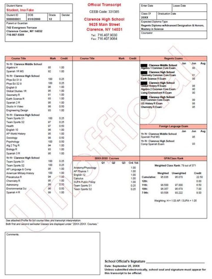 What is the difference between member checking and transcript review?