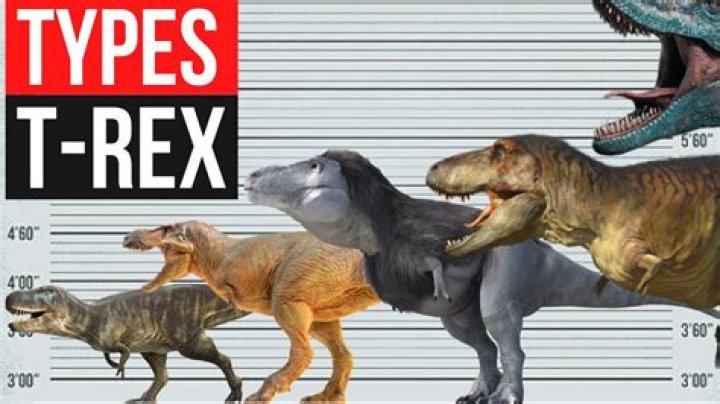What length does Trex come in?