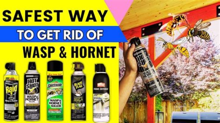What spray will kill wasps?